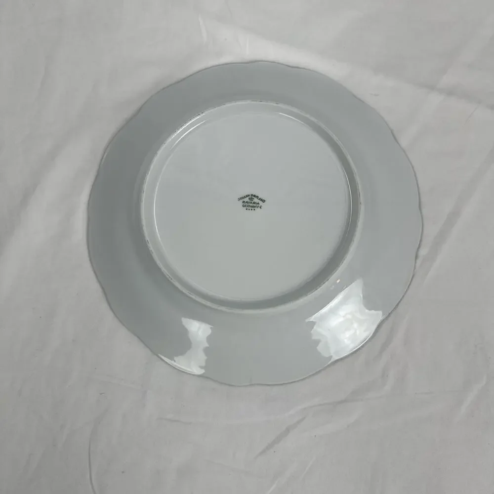 Set Of 8( 4-6” , 4-8”) JOHANN HAVILAND Bavaria Germany Plates Platinum Trim 53